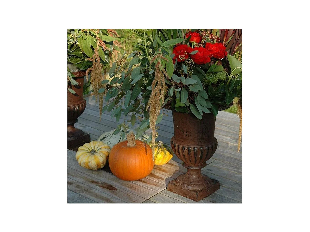 Vase Médicis en fonte Hauteur 20 cm