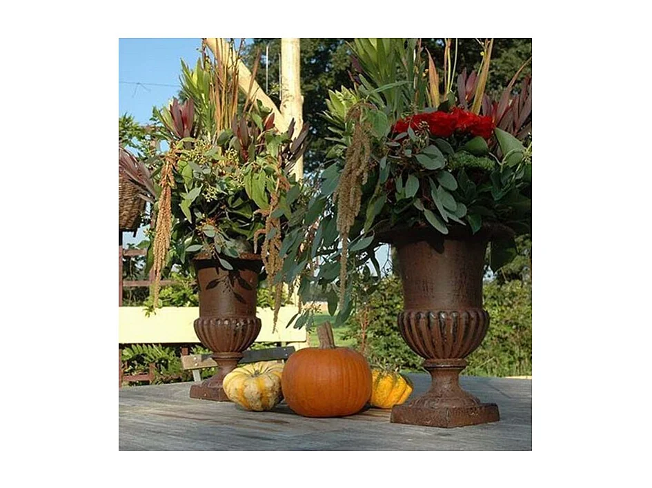 Vase Médicis en fonte Hauteur 20 cm