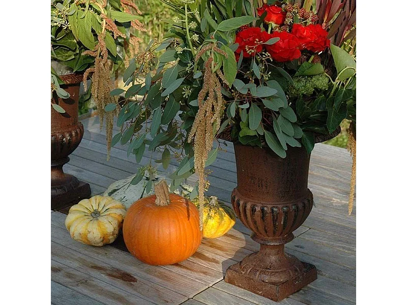 Vaso Medici in ghisa Altezza 23 cm