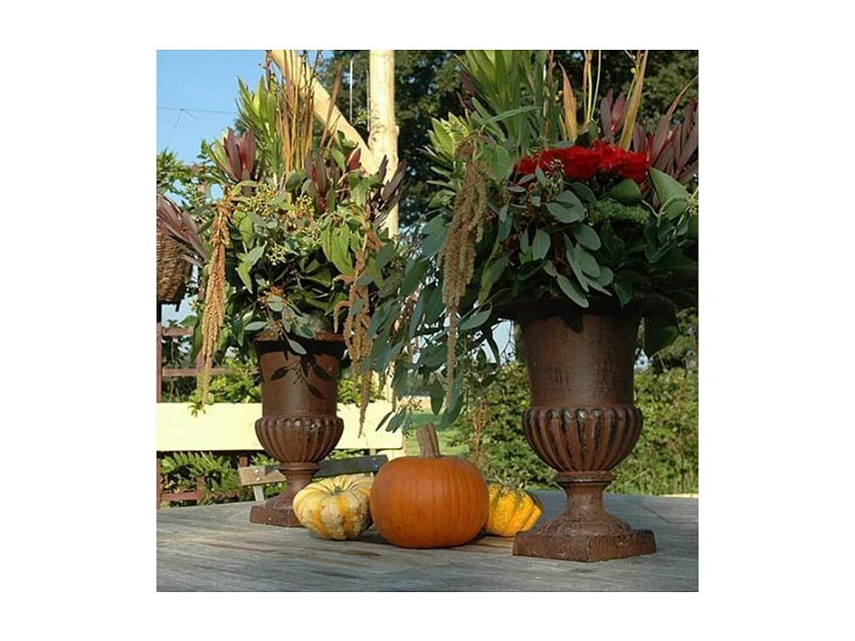 Vase Médicis en fonte Hauteur 42 cm