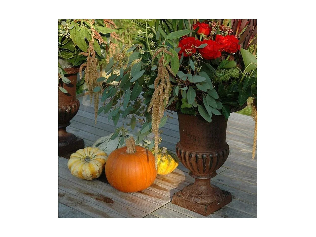 Vase Médicis en fonte Hauteur 42 cm