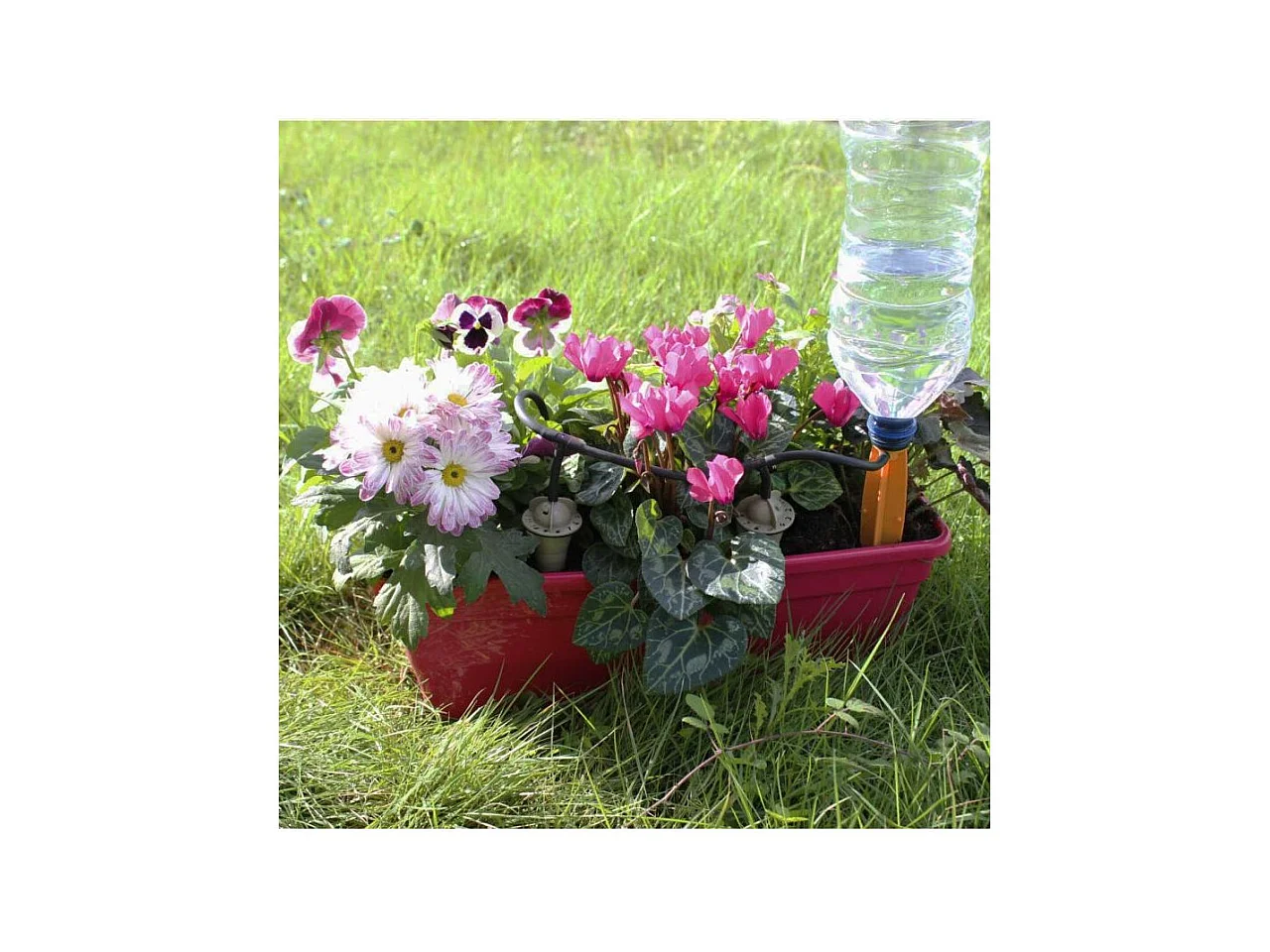 Kit goutteurs pour jardinière arrosage régulier