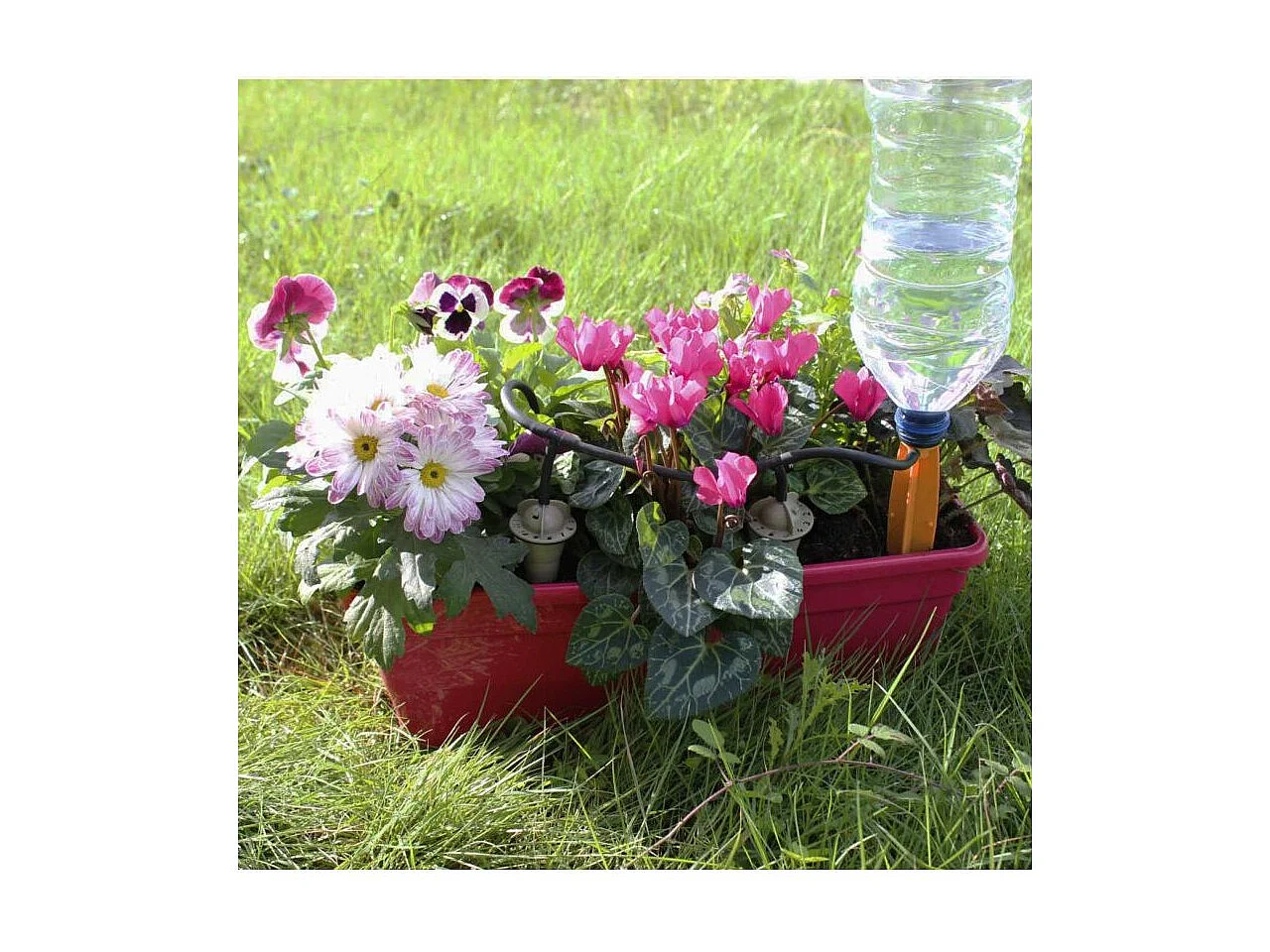 Kit goutteurs pour jardinière arrosage régulier