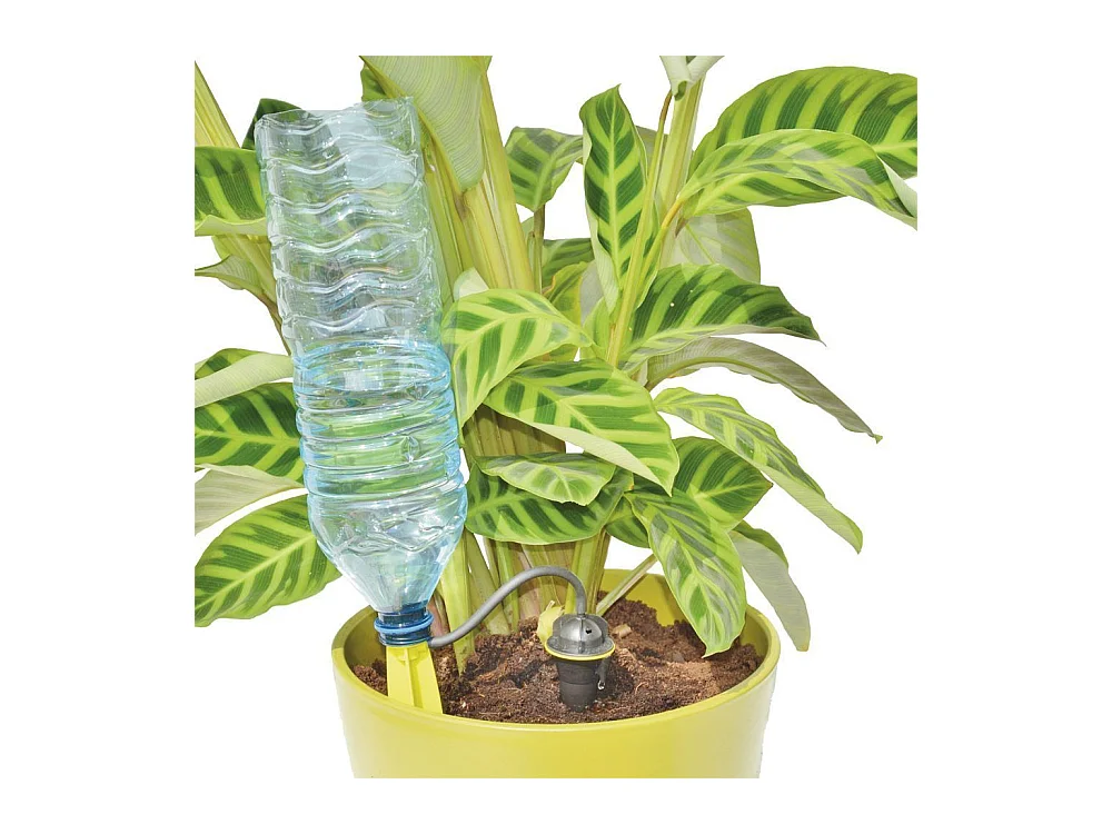 Kontinuierliches Bewässerungssystem zum Einführen (5-stück)