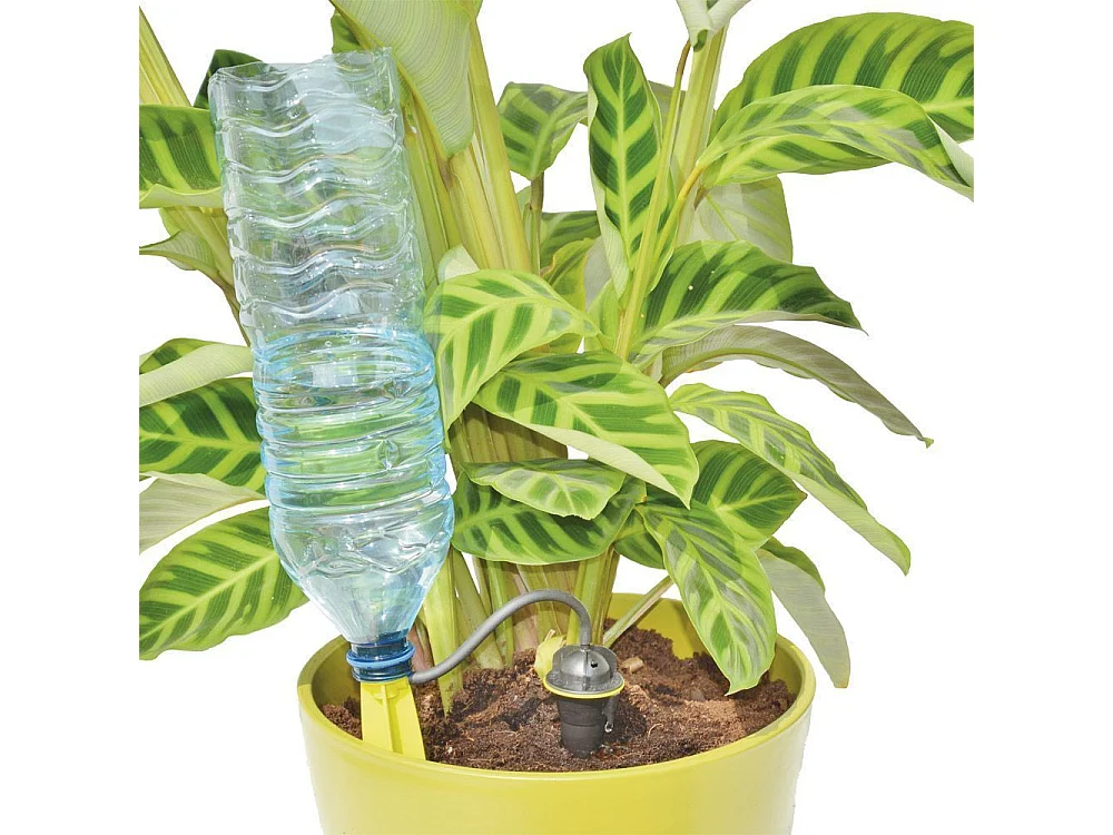 Goutteurs sur pied arrosage régulier Lot de 5