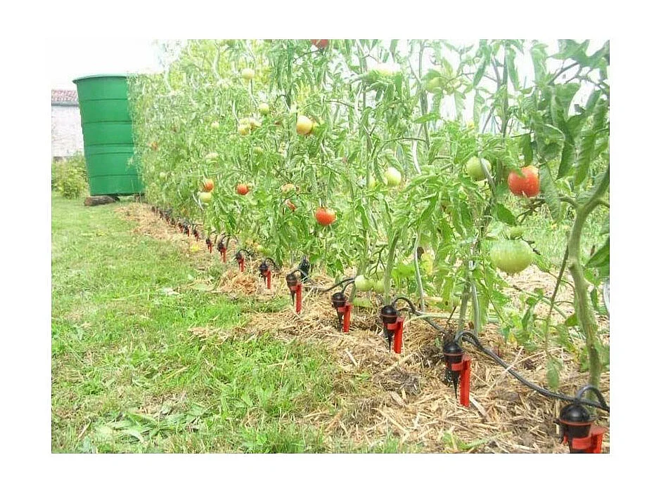 Kit per l'irrigazione ecologica del giardino con gocciolatori su supporto 20 gocciolatori