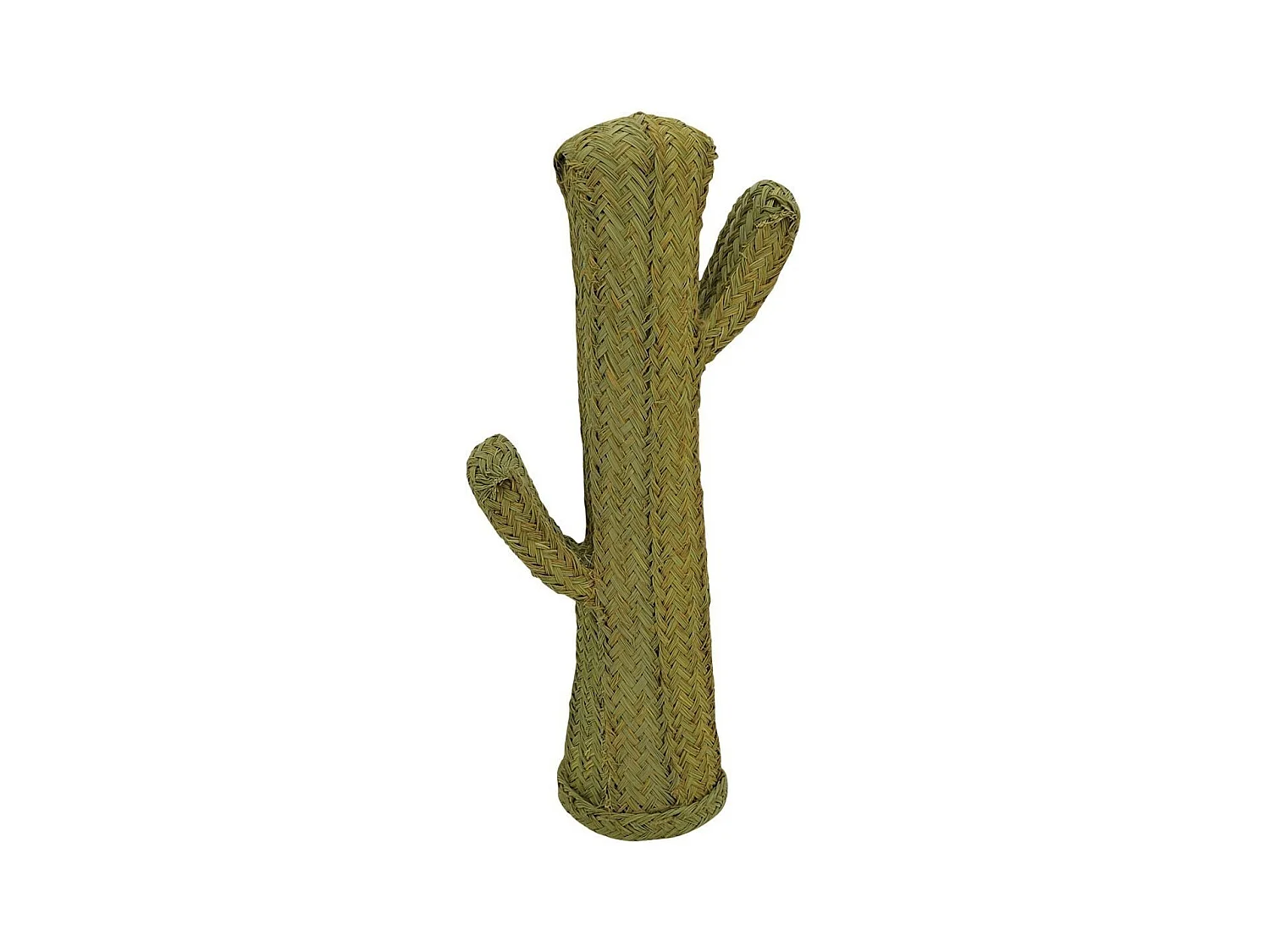 Cactus en alpha Hauteur 85 cm