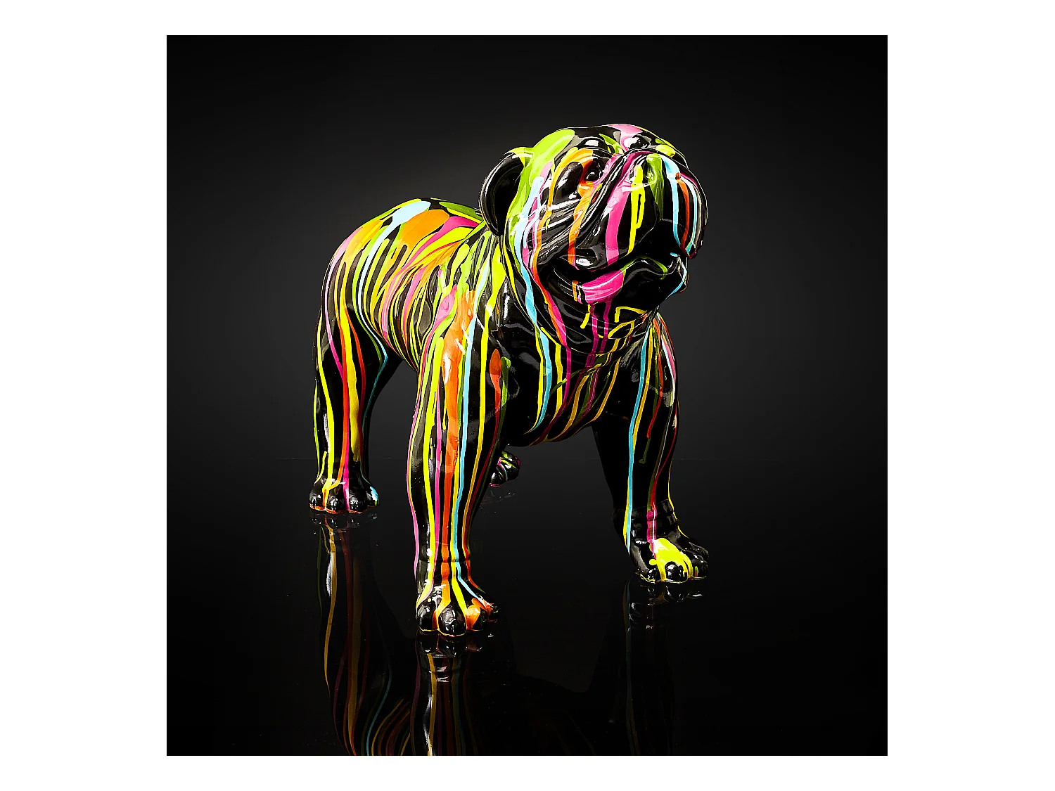 Molosse Noir Coulures H50cm Multicolore