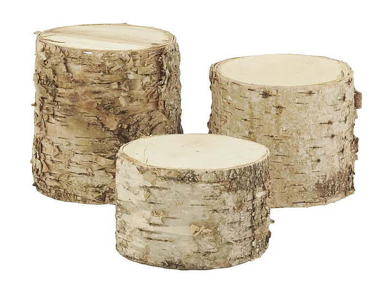 Supports tronc en bouleau (Lot de 3)