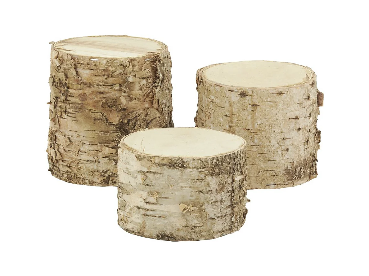 Supports tronc en bouleau (Lot de 3)