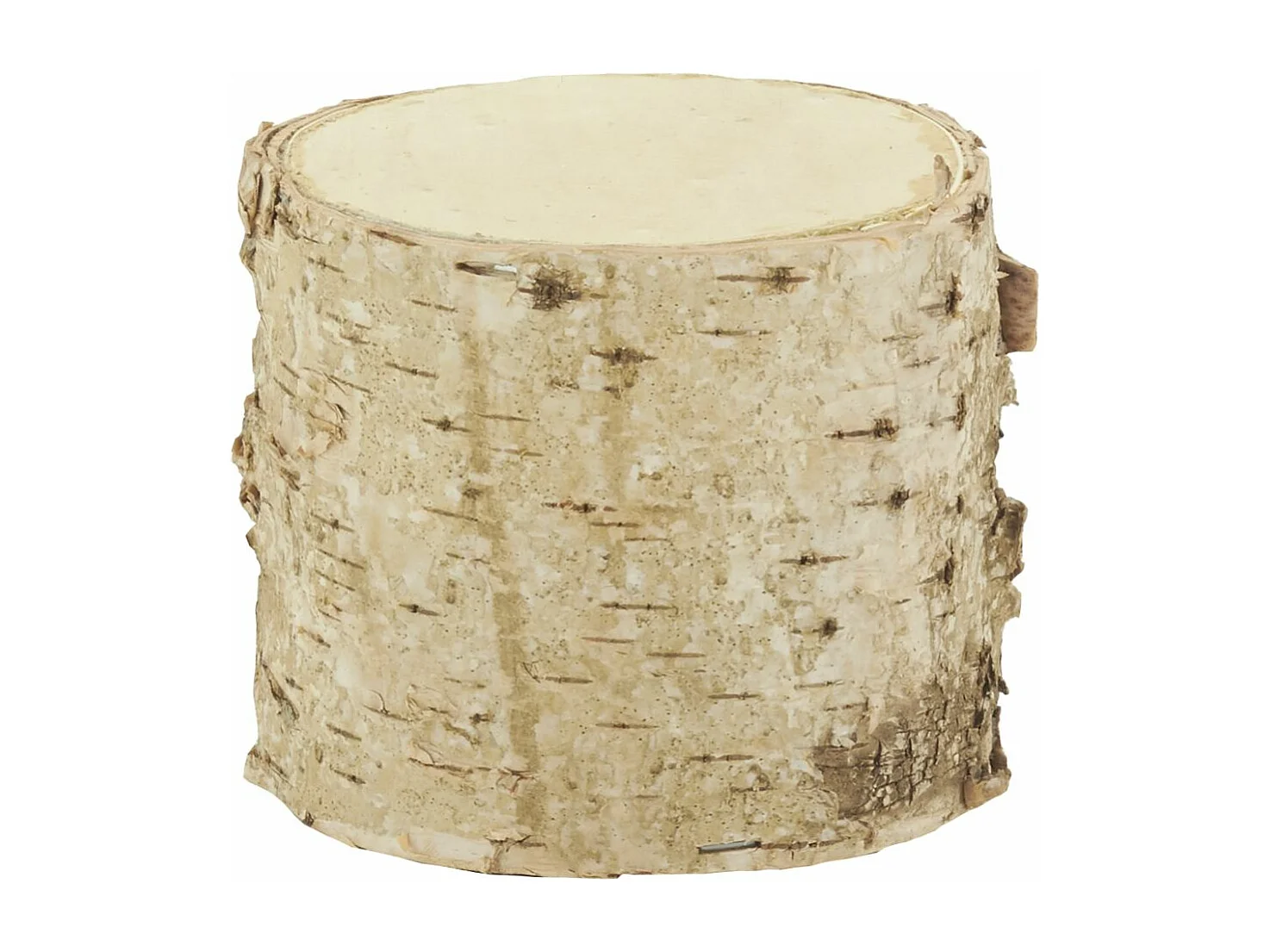 Supports tronc en bouleau (Lot de 3)