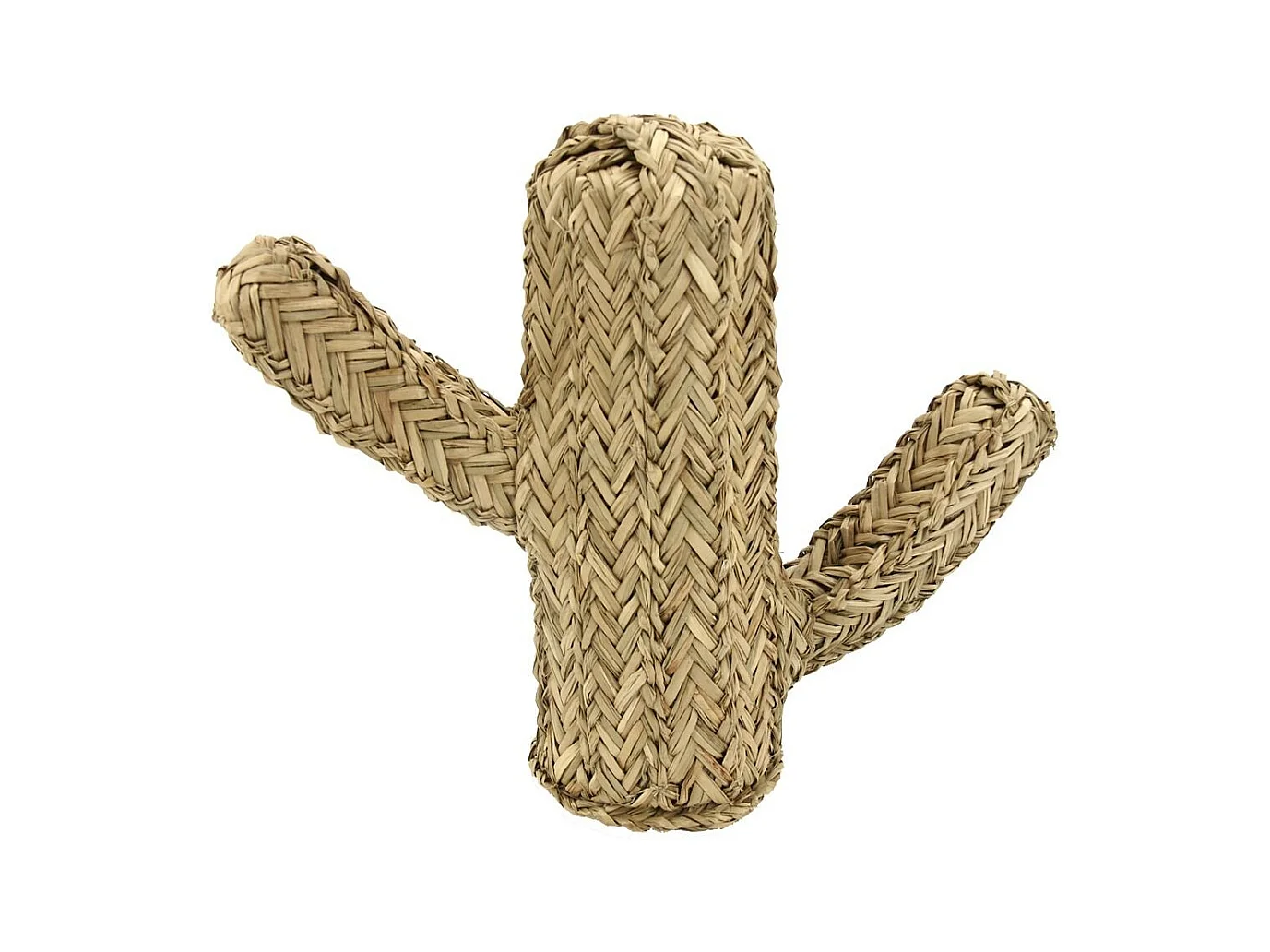 Cactus en jonc naturel Hauteur 30cm