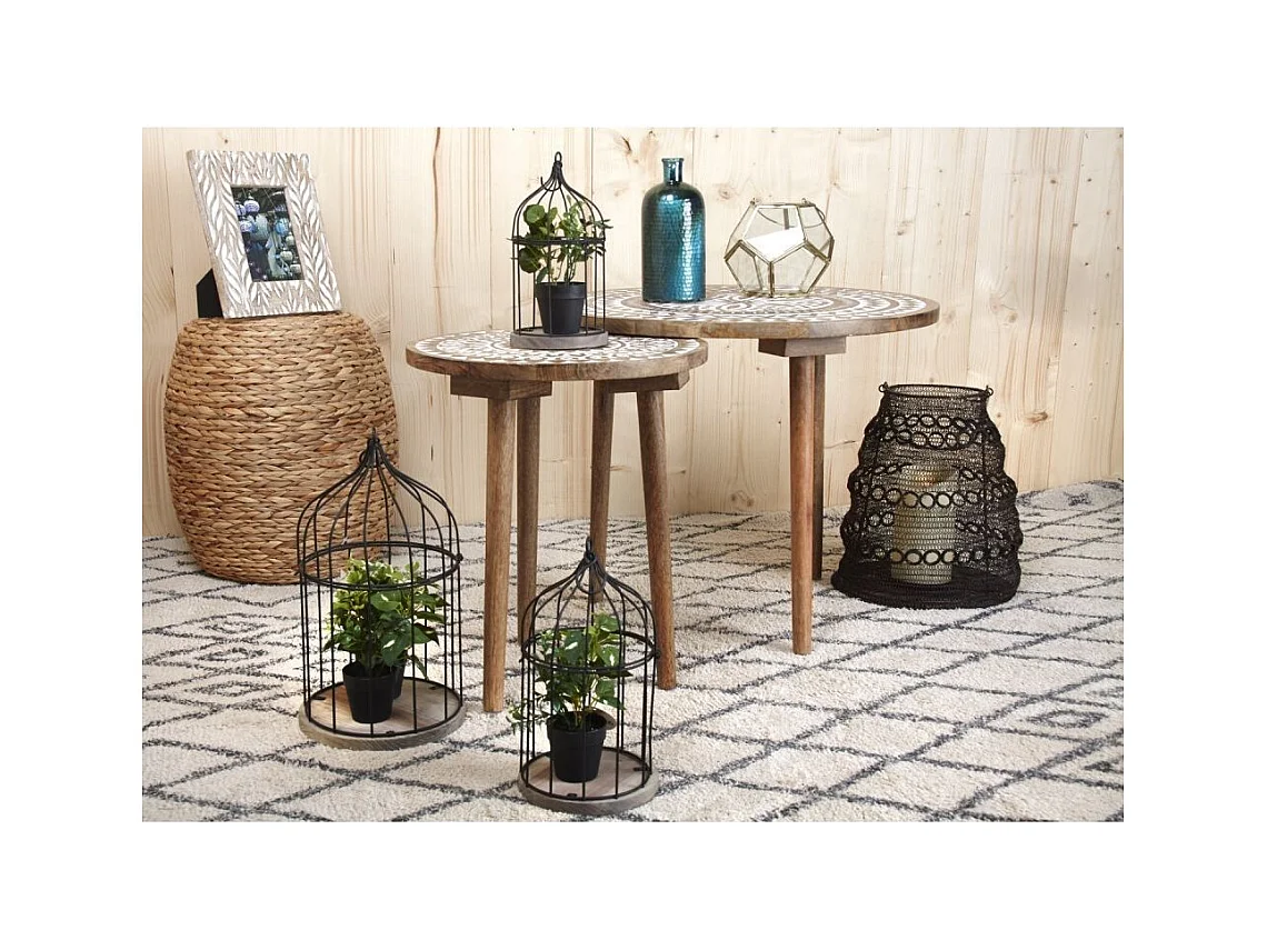 Cages en métal laqué et bois (Lot de 3)