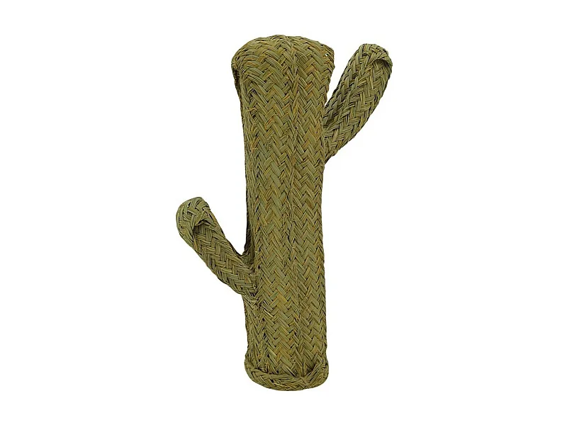 Cactus en alpha Hauteur 65 cm