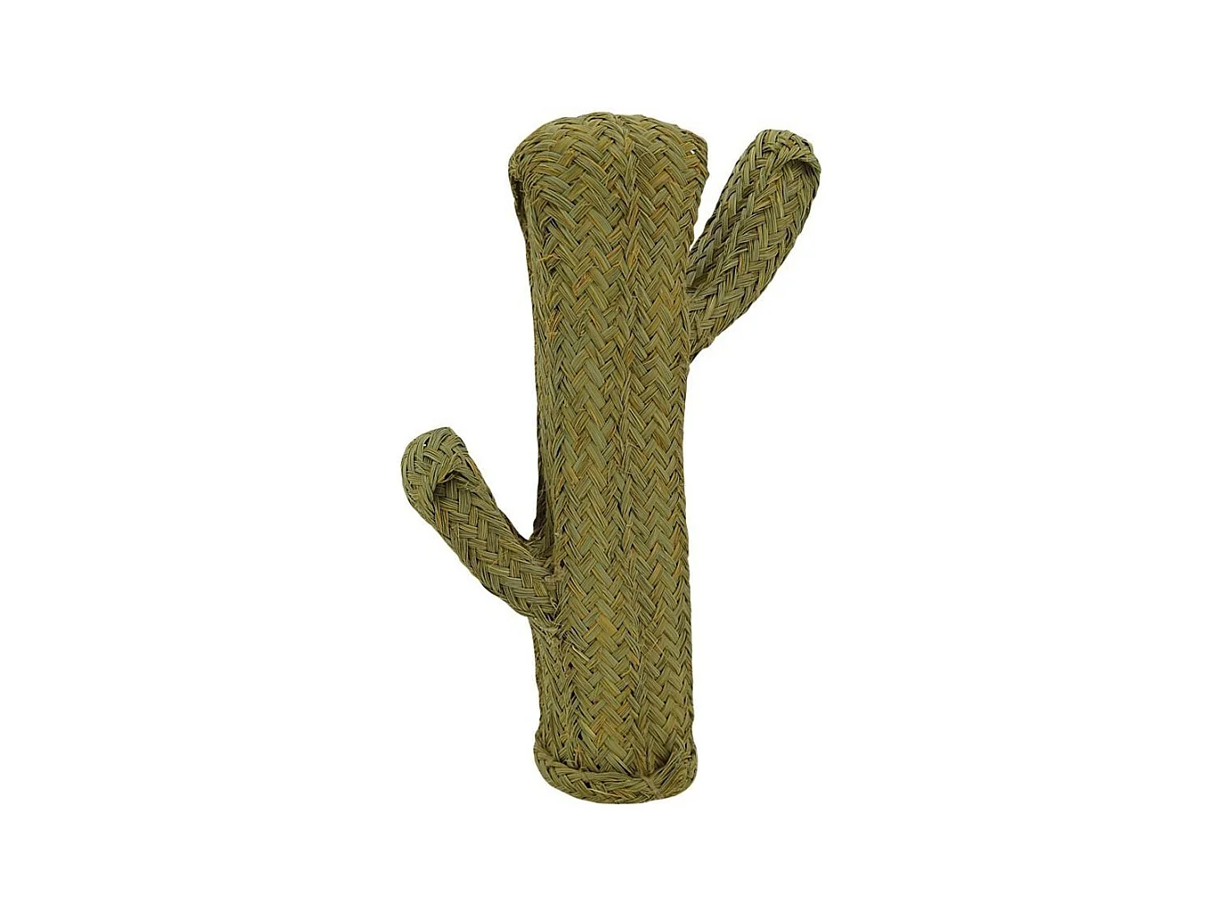 Cactus en alpha Hauteur 65 cm