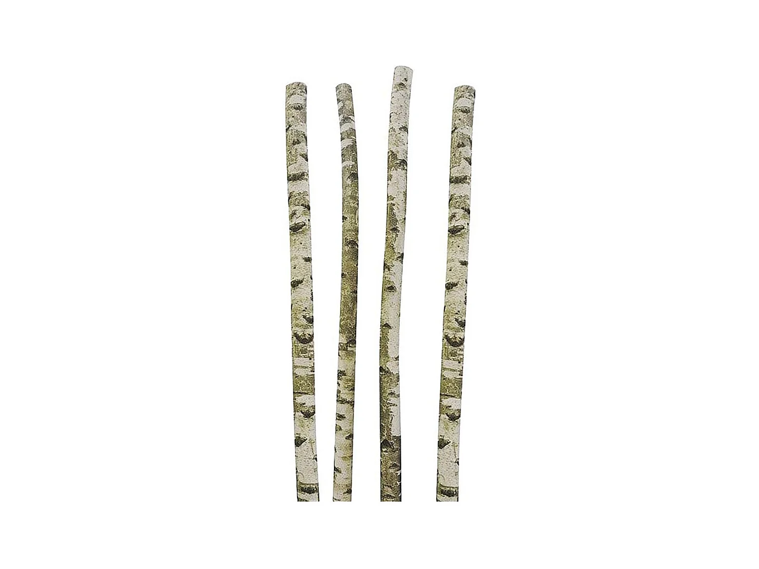 Troncs de bouleau décoratifs (Lot de 4)