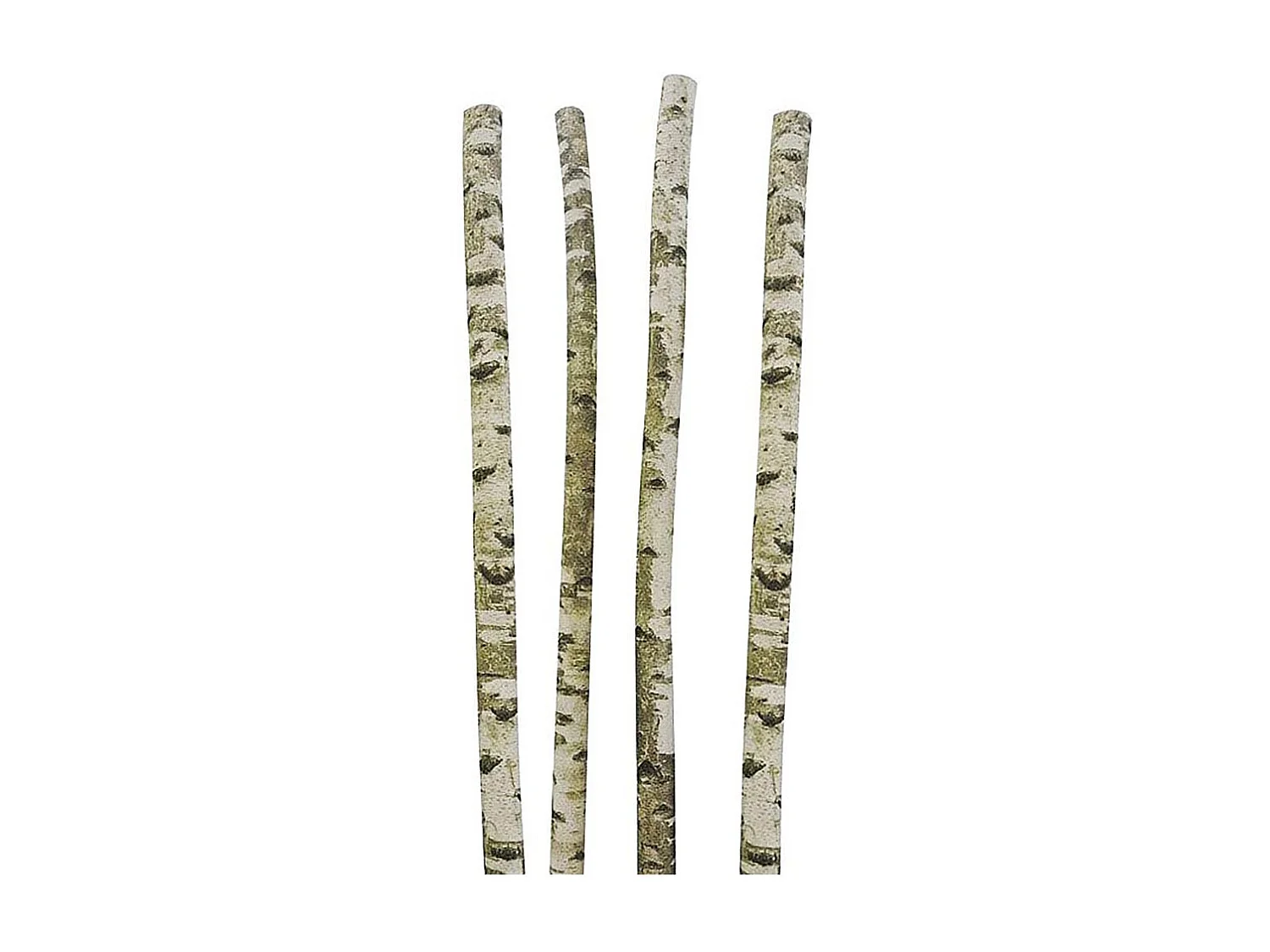 Troncs de bouleau décoratifs (Lot de 4)