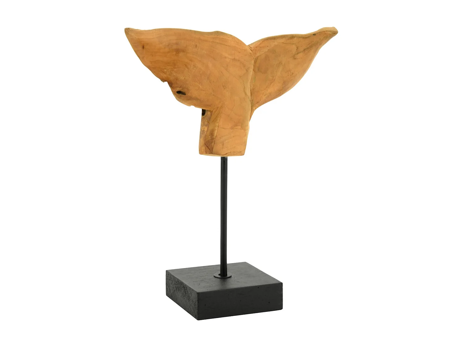 Queue de baleine en teck