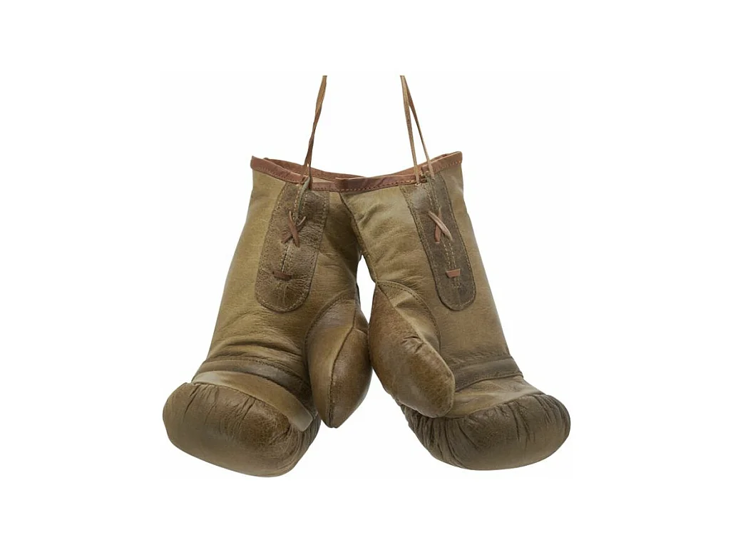 Gants de boxe en cuir de buffle