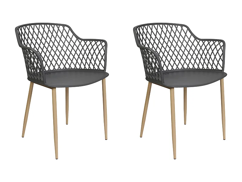 Fauteuil Malaga Gris - Lot De 2 Gris