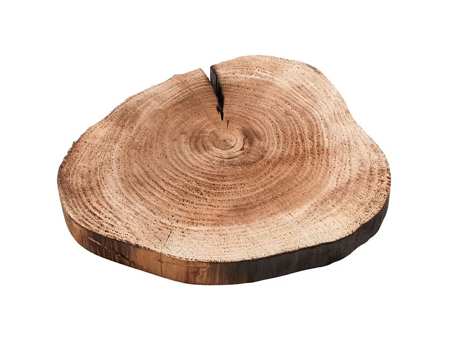 Dessous de plat en sapin Rondin