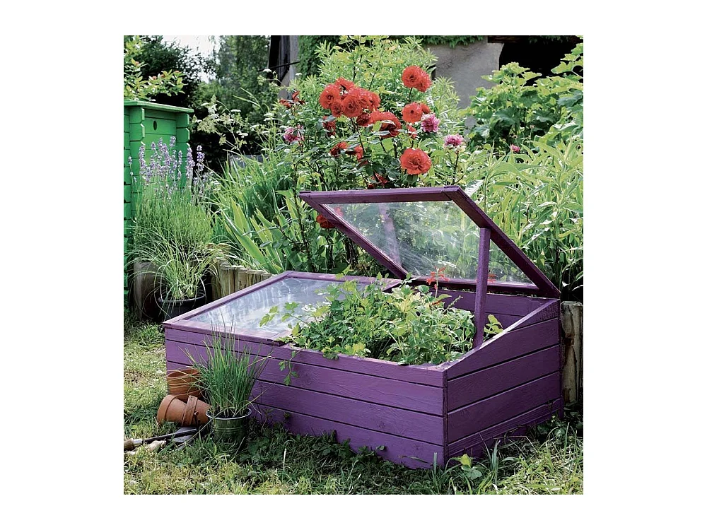 Petite serre de jardin en bois