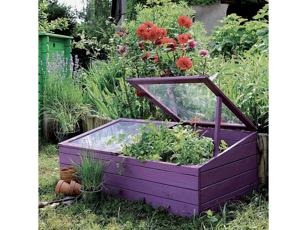 Petite serre de jardin en bois