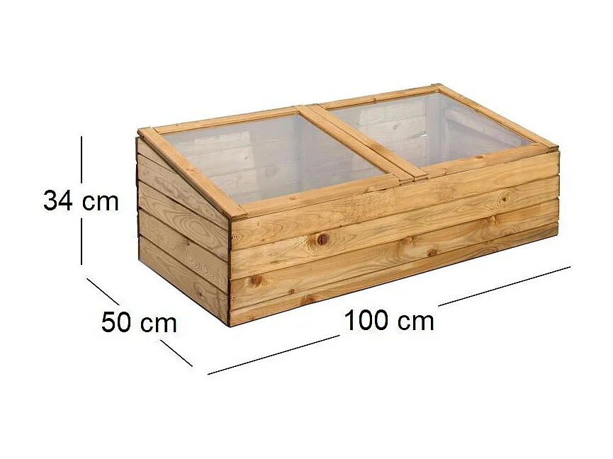 Petite serre de jardin en bois