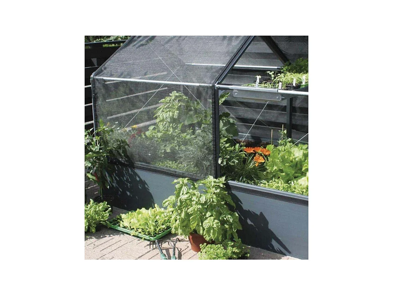 Potager premium avec serre et protection Veg Longueur 240 cm