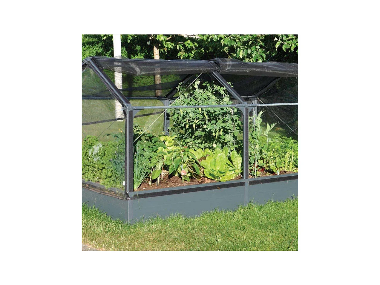 Potager premium avec serre et protection Veg Longueur 240 cm