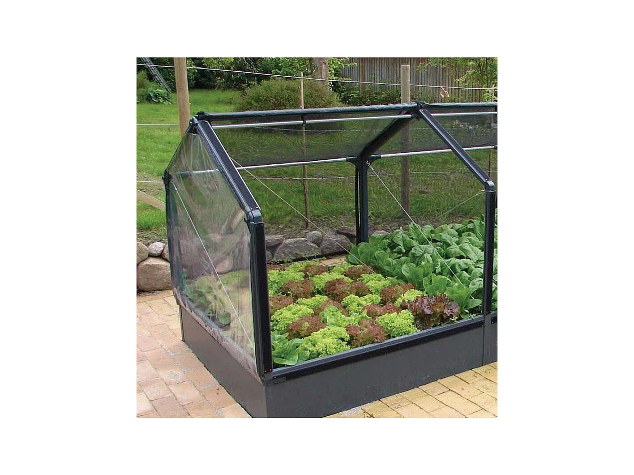 Potager premium avec serre et protection Veg Longueur 240 cm
