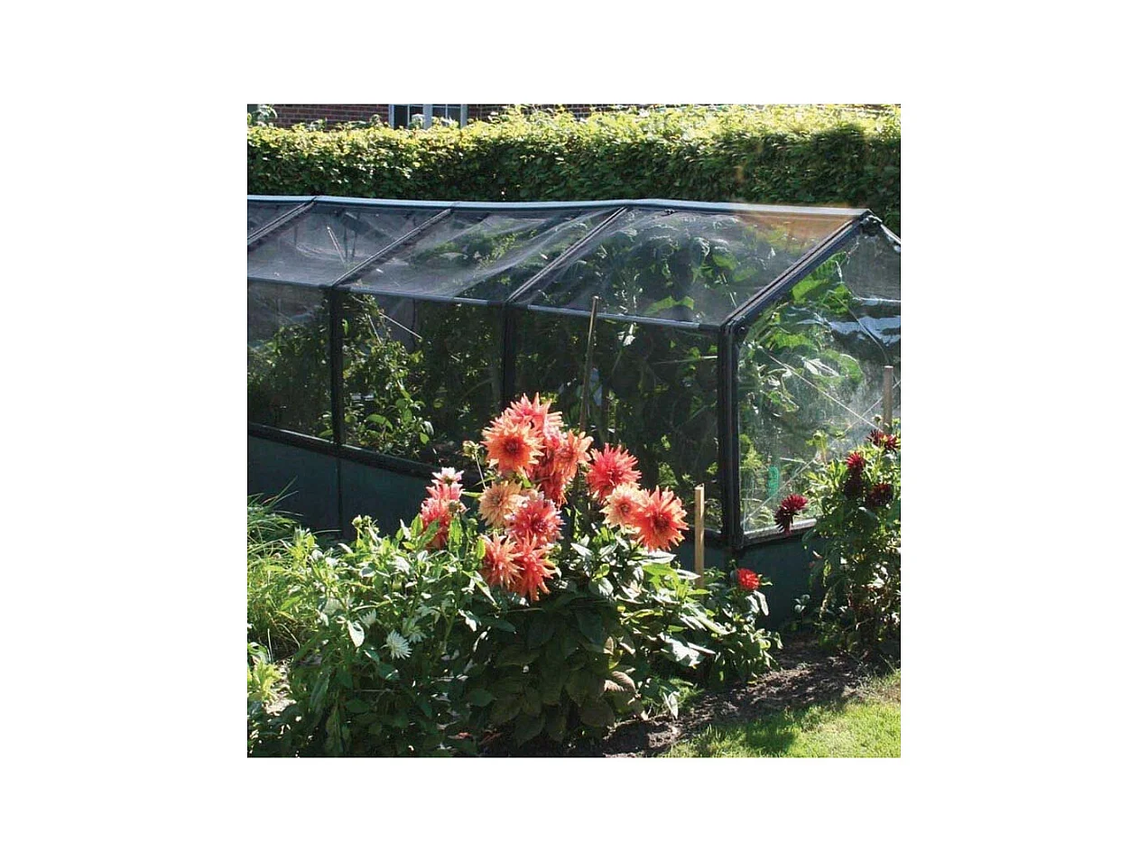 Potager premium avec serre et protection Veg Longueur 240 cm