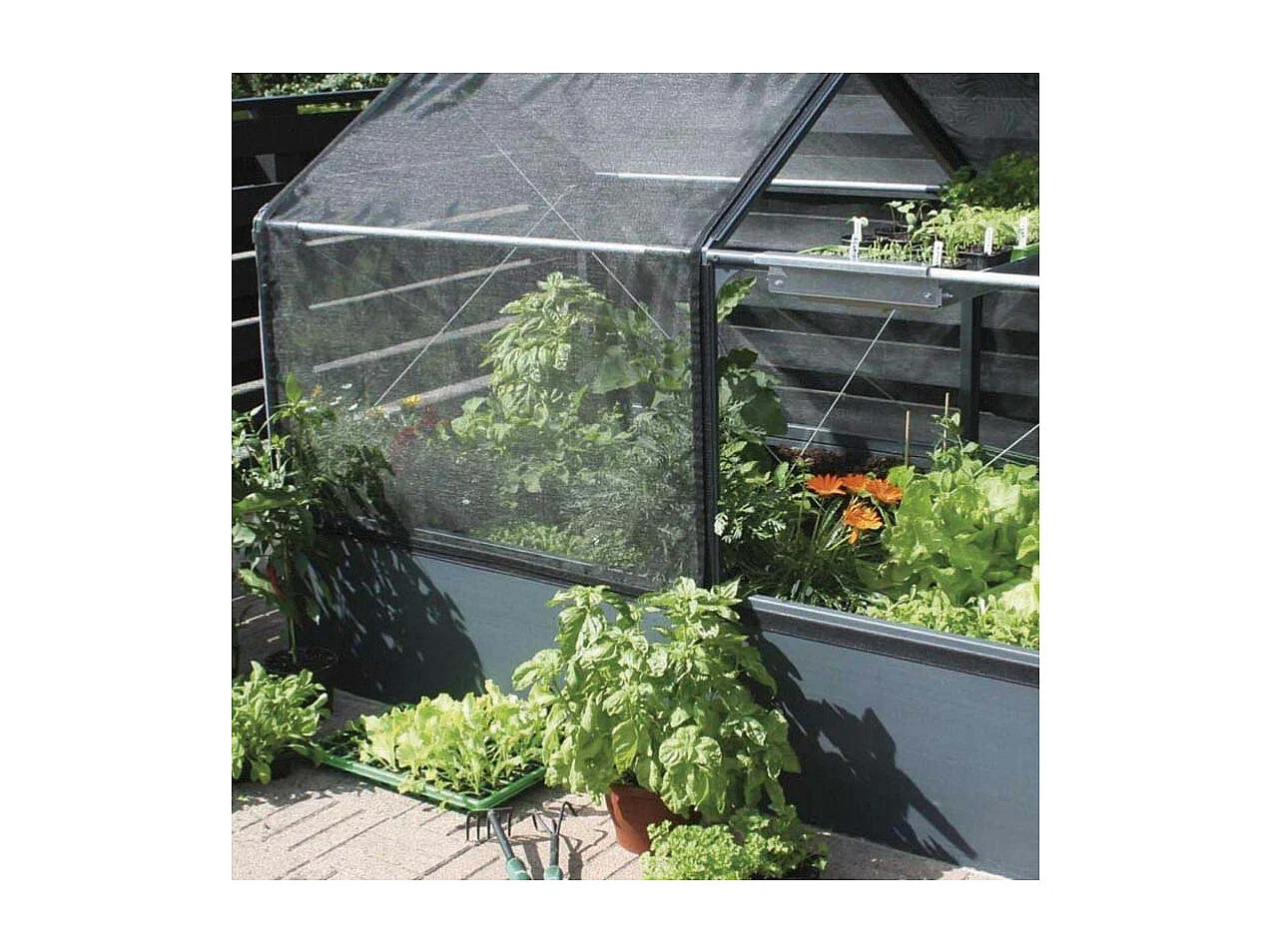 Potager premium avec serre et protection Veg Longueur 240 cm