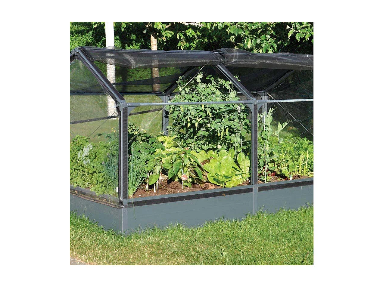 Potager premium avec serre et protection Veg Longueur 240 cm