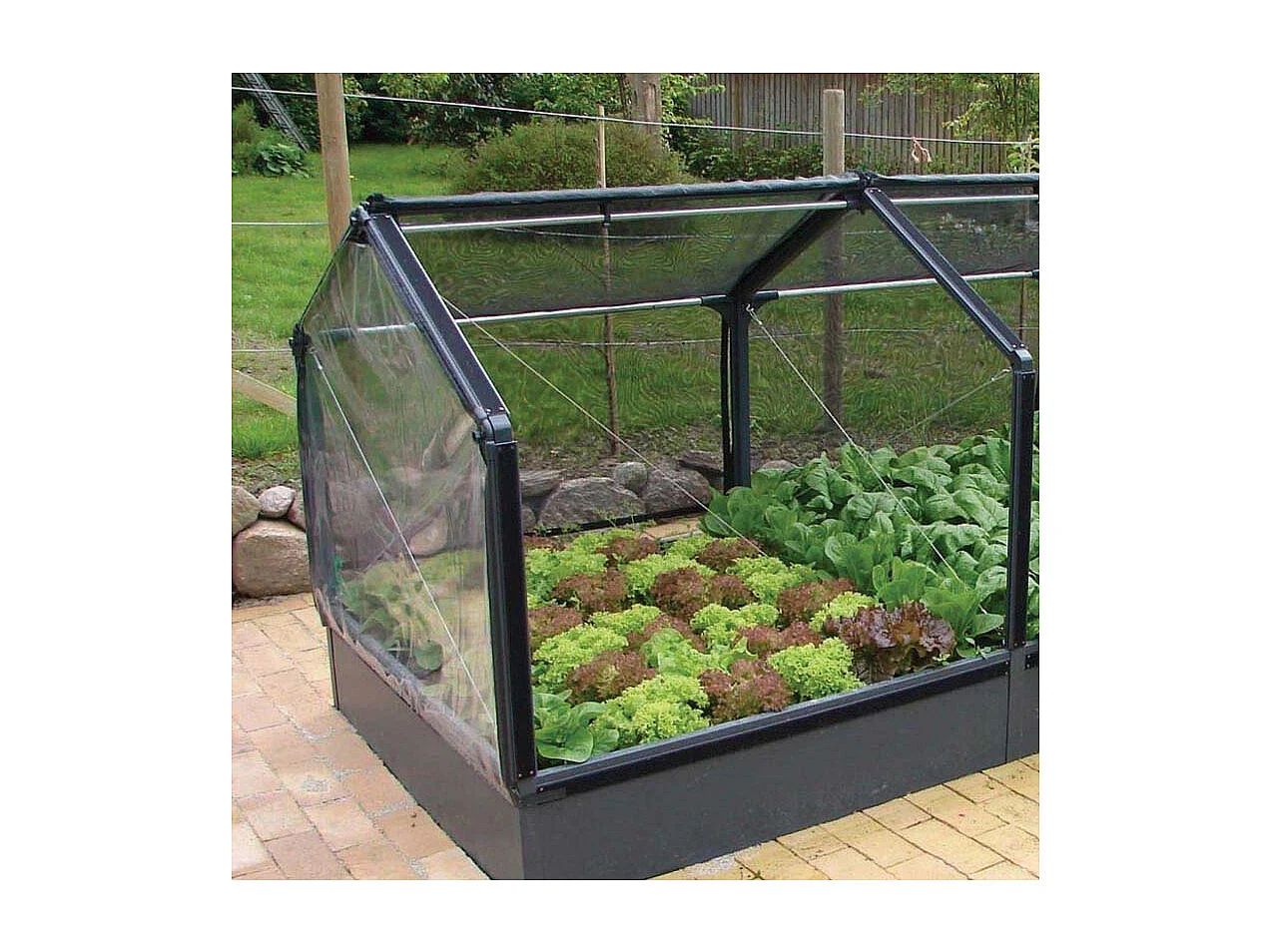 Potager premium avec serre et protection Veg Longueur 240 cm