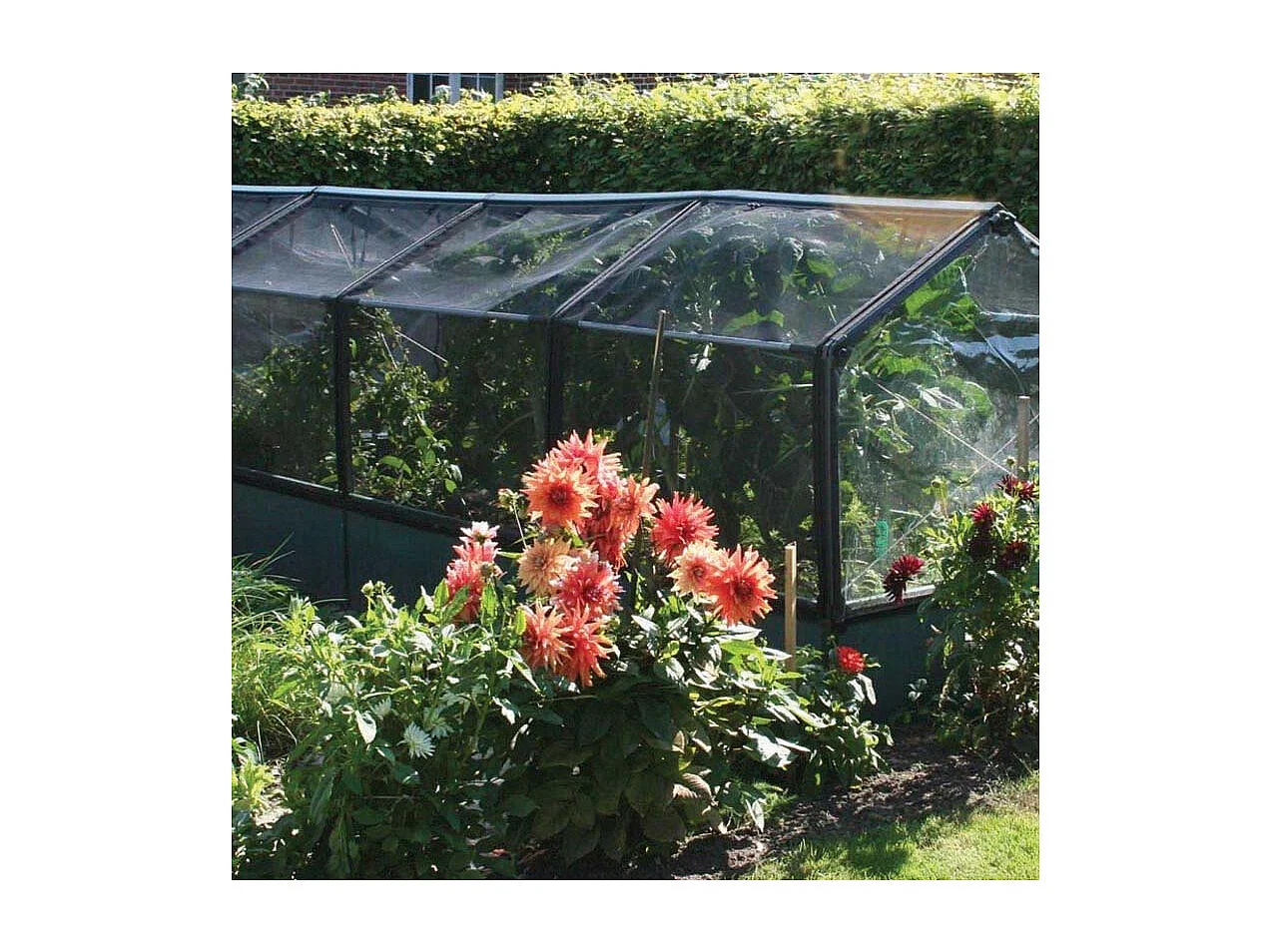 Potager premium avec serre et protection Veg Longueur 240 cm