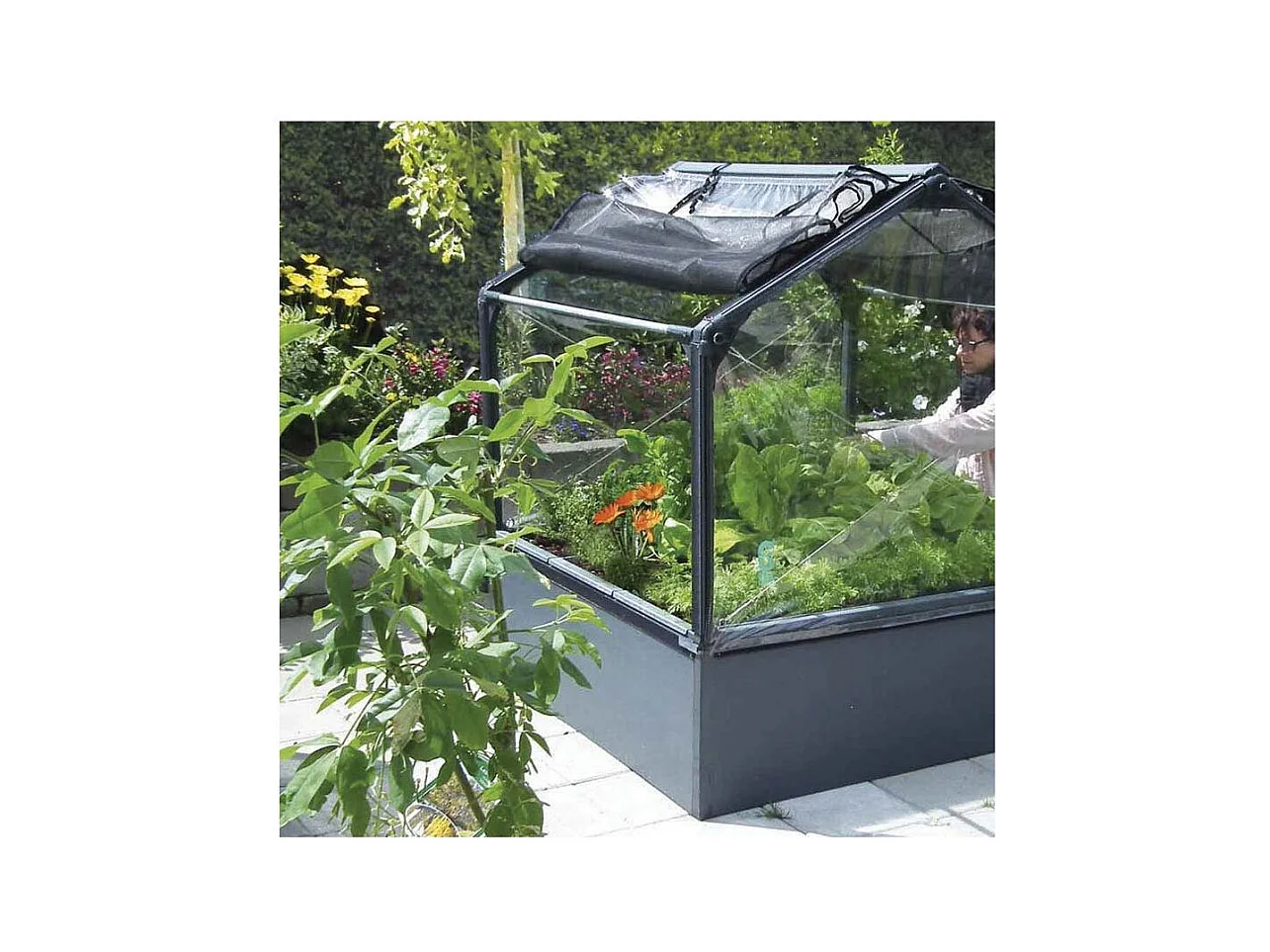 Carré potager premium avec serre Basic air Longueur 120 cm