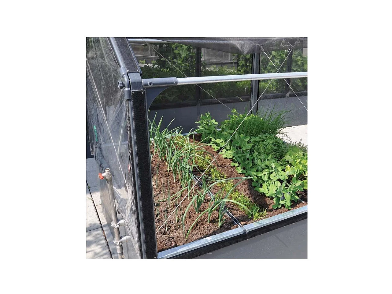 Carré potager premium avec serre Basic air Longueur 120 cm