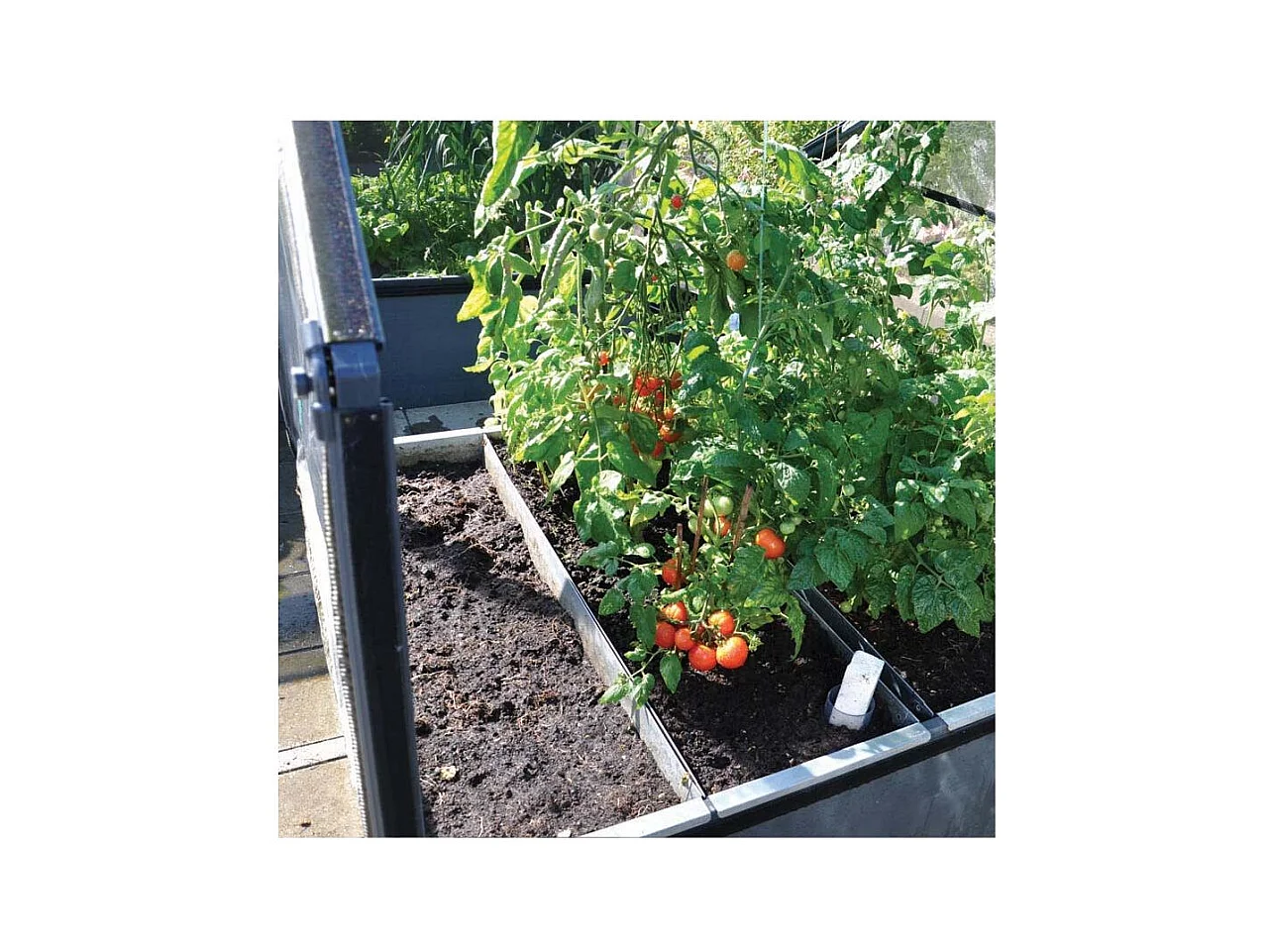 Carré potager premium avec serre Basic air Longueur 120 cm