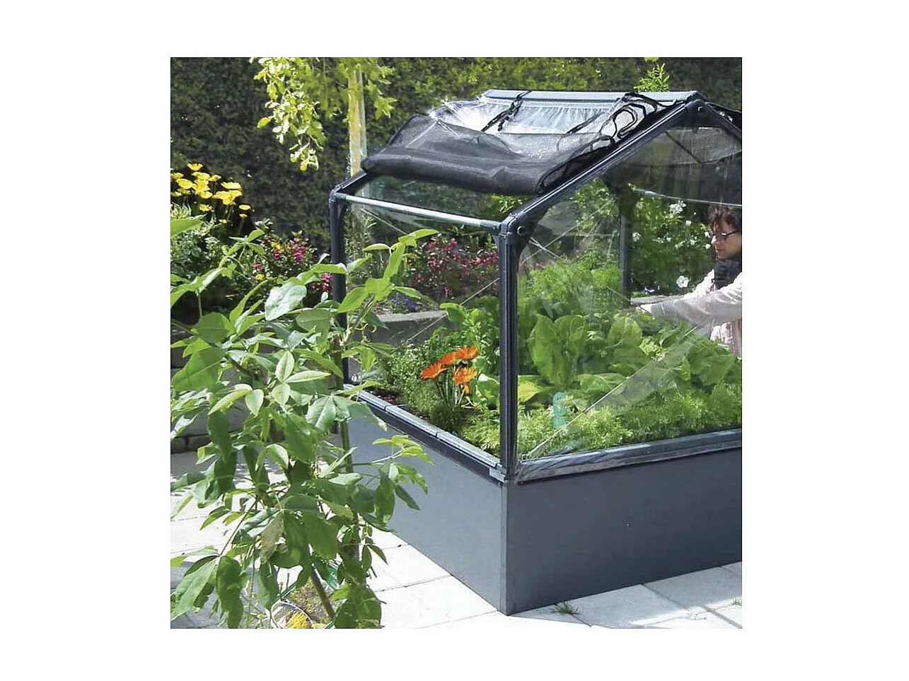 Carré potager premium avec serre Basic air Longueur 120 cm