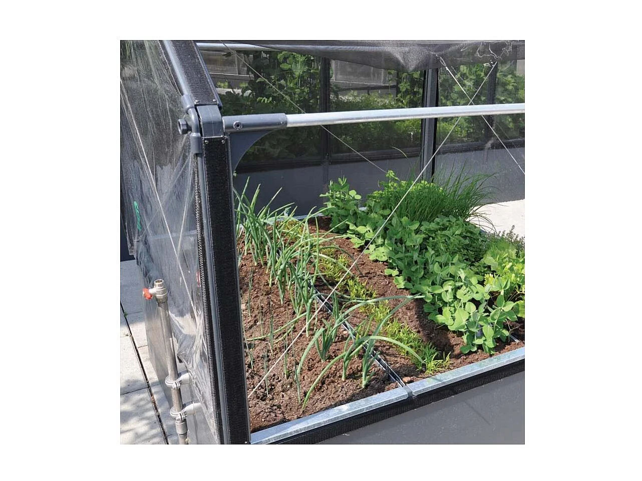 Carré potager premium avec serre Basic air Longueur 120 cm