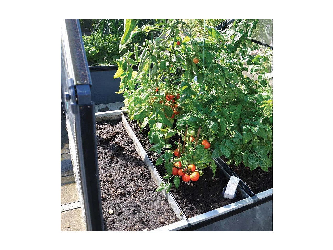 Carré potager premium avec serre Basic air Longueur 120 cm