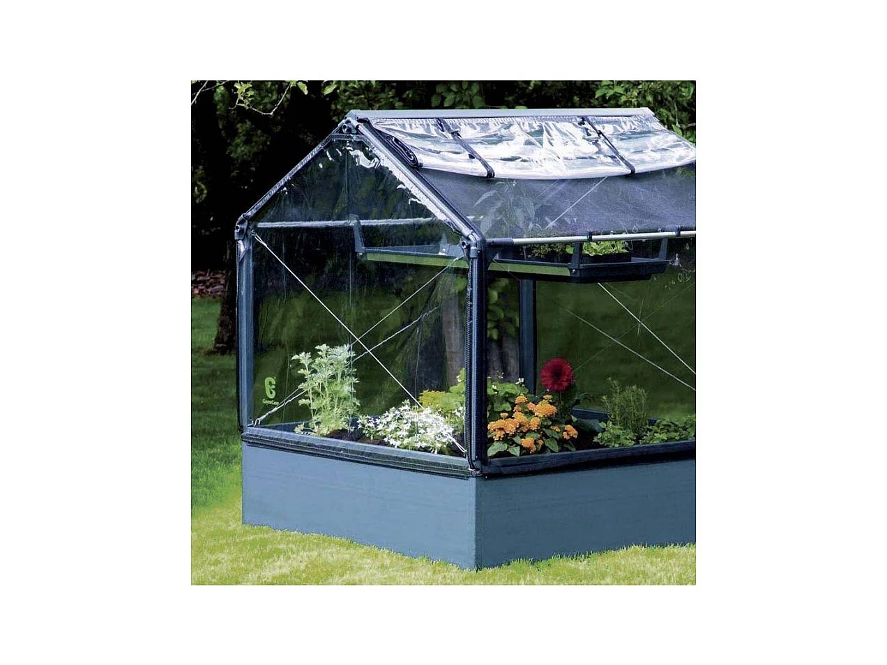 Potager premium avec serre et protection Veg Longueur 120 cm