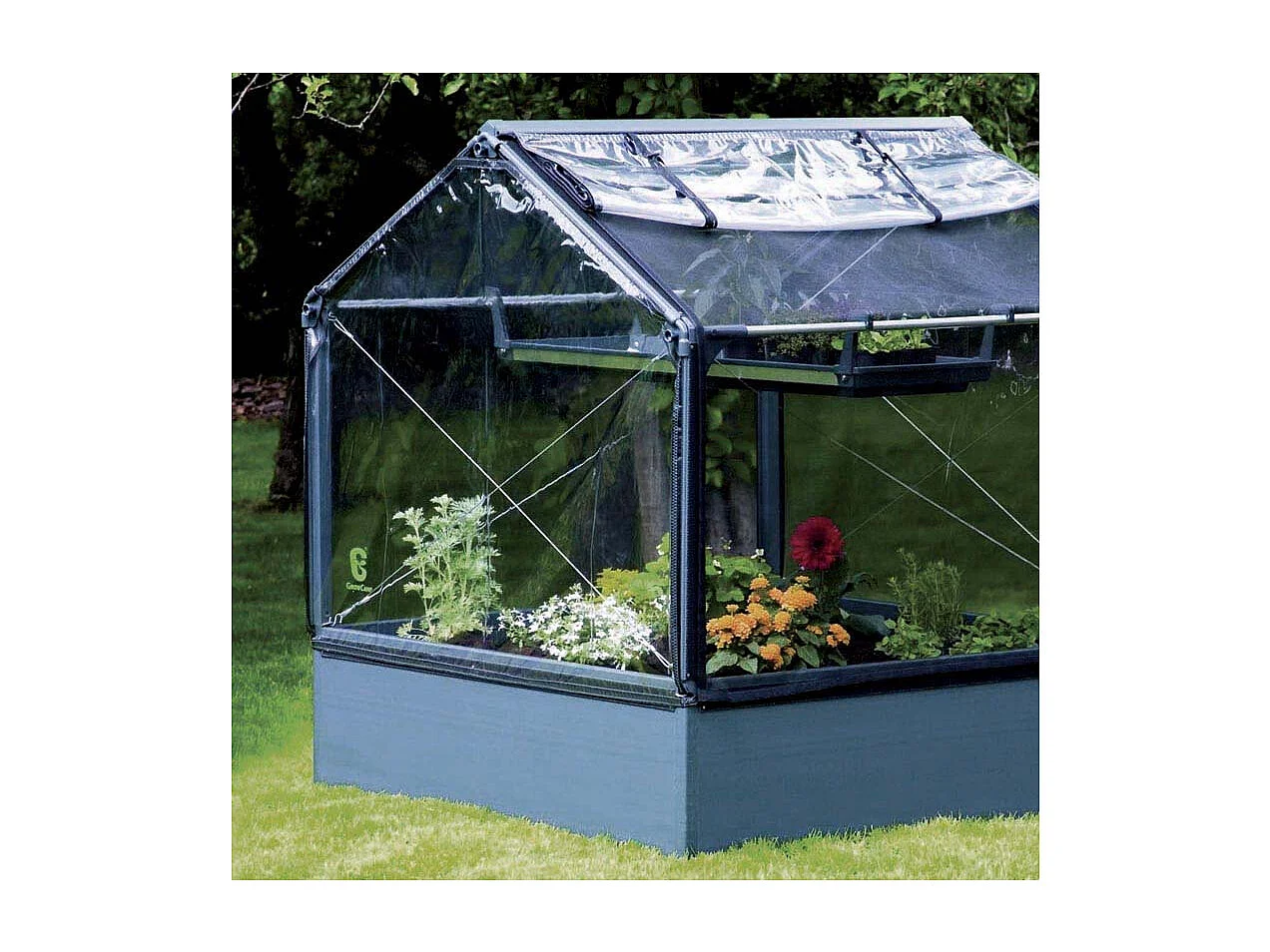 Potager premium avec serre et protection Veg Longueur 120 cm