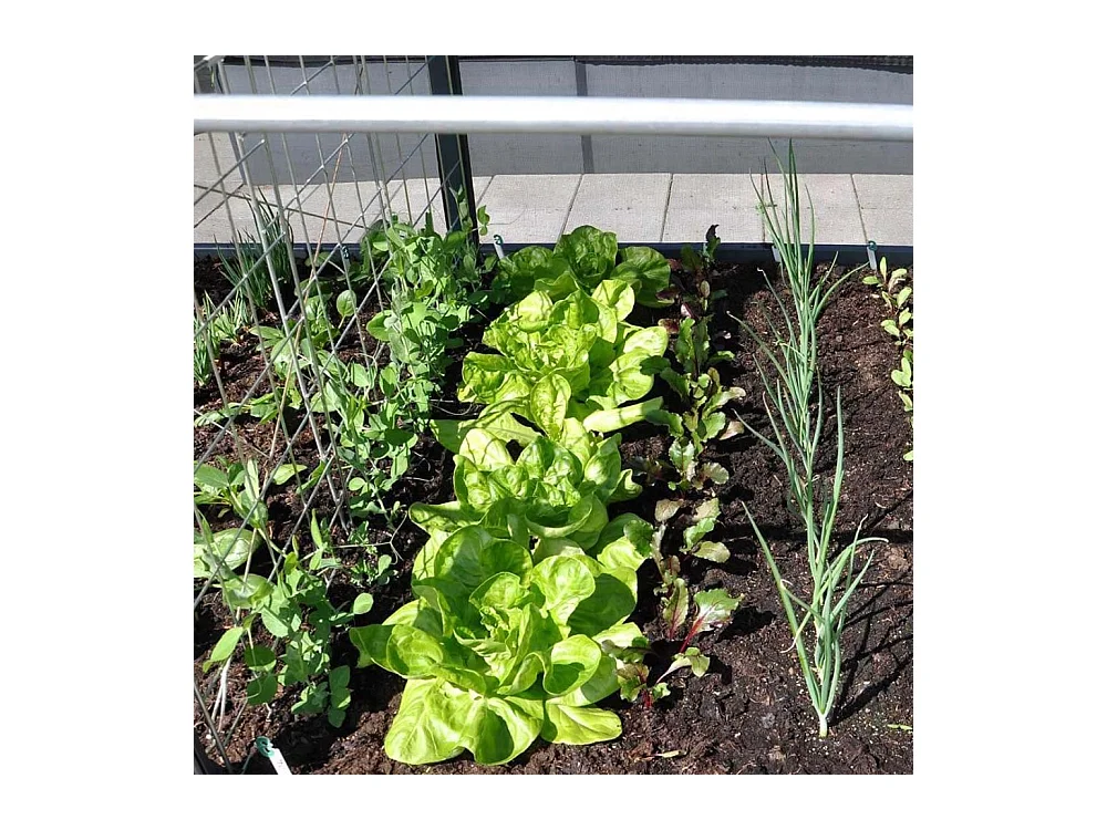 GrowCamp Estensione per orto 50cm 650 Litri