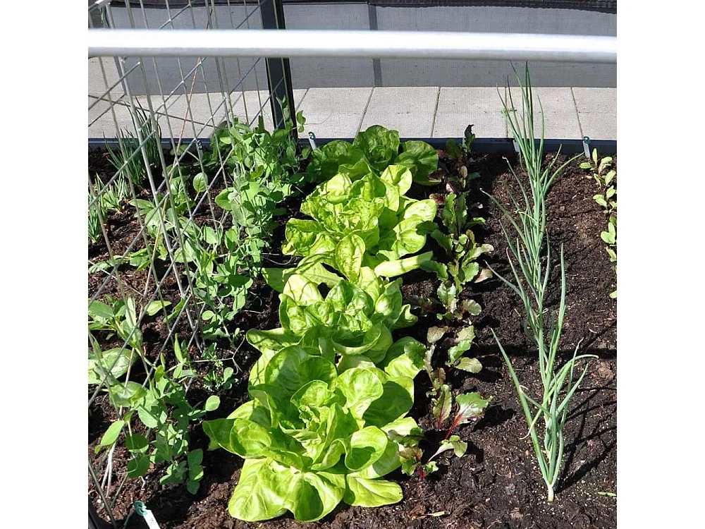 GrowCamp Estensione per orto 50cm 650 Litri