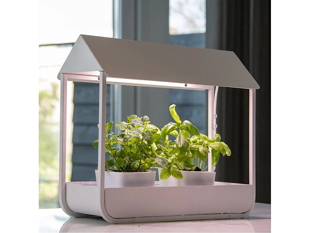 Gewächshaus mit Design-Wachstumslampe