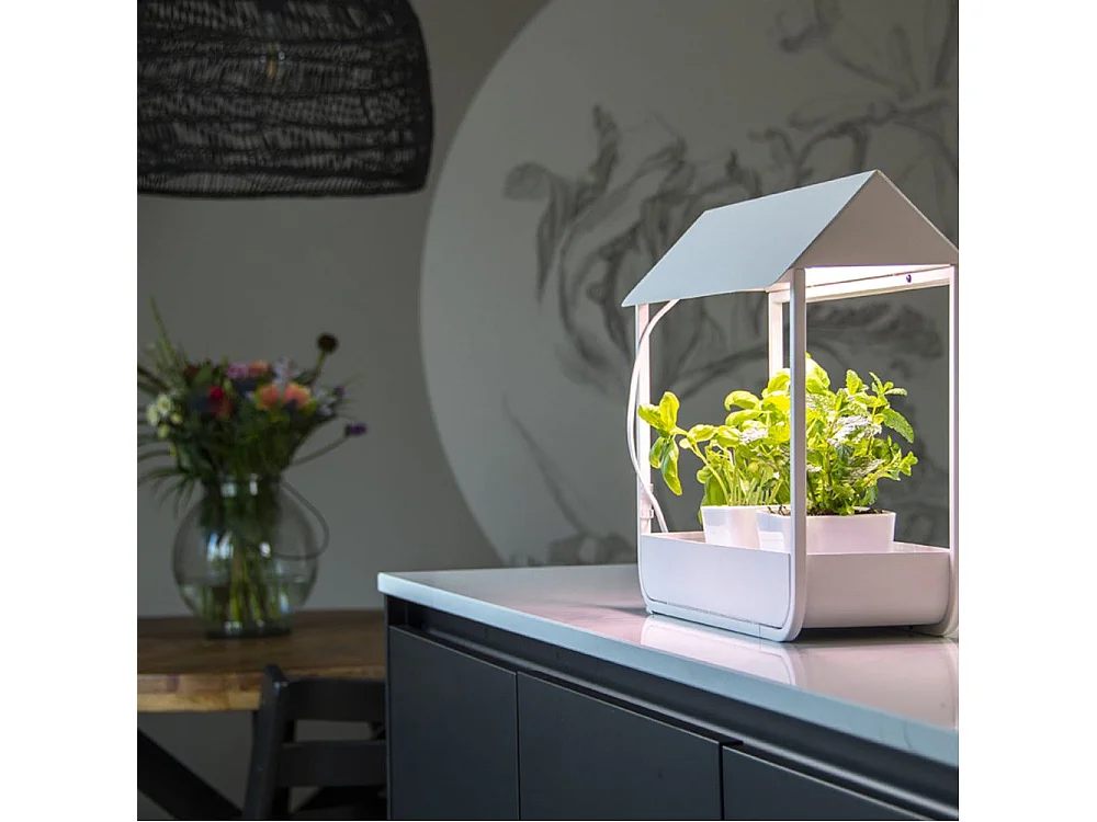 Gewächshaus mit Design-Wachstumslampe