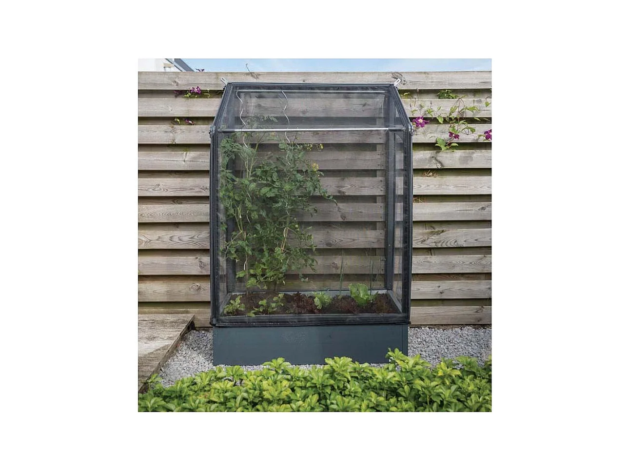 Potager mural premium à adosser avec couverture de protection Hauteur 180 cm