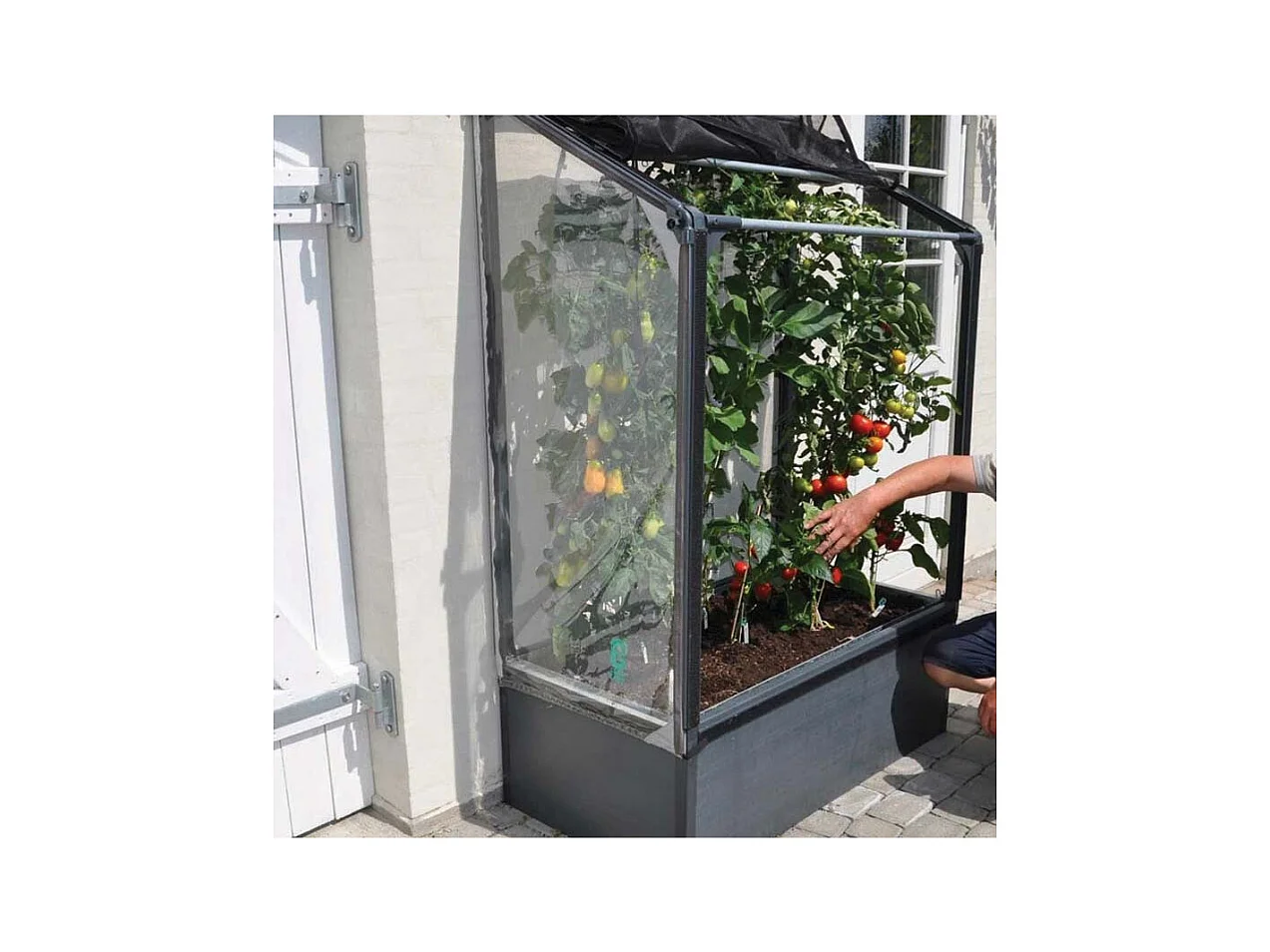 Potager mural premium à adosser avec couverture de protection Hauteur 180 cm